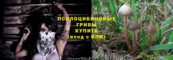 стафф Зеленокумск