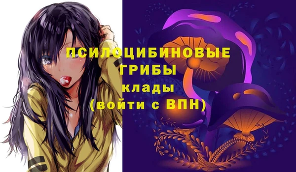 a pvp Зерноград